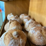 Panadería Bembibre en Bembibre