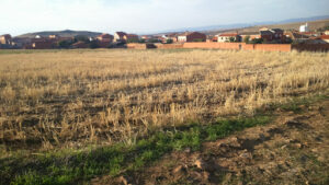 Ultramarinos Rojas Panadería en Porzuna